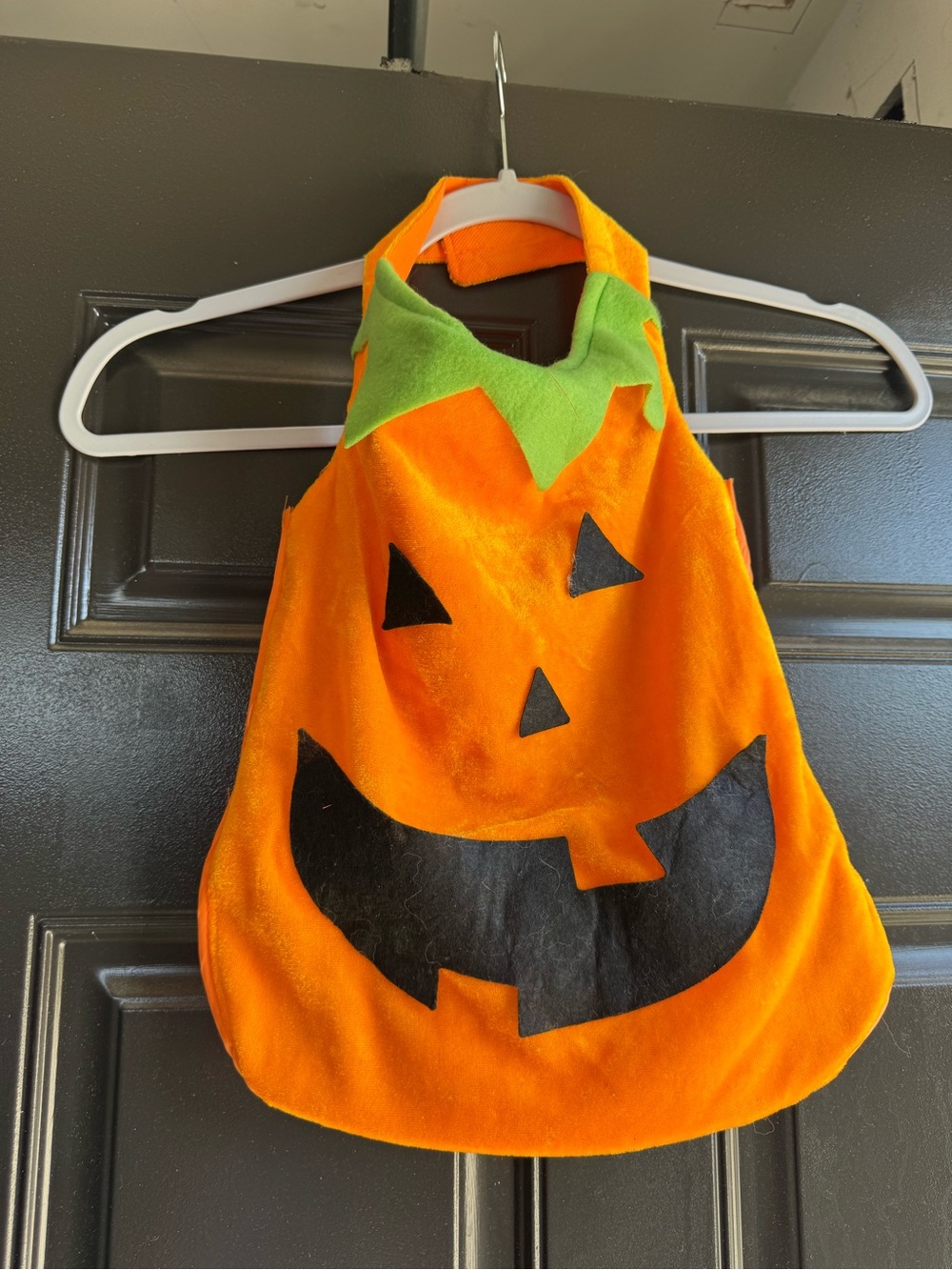 Pumpkin Dog Costume